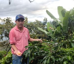 Café en grain de Colombie, CAUCA, torréfié artisanalement à Amélie-les-Bains, avec des arômes équilibrées et des notes fruitées.