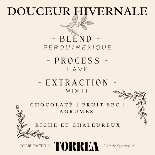 Blend Douceur Hivernale - Café gourmet 60% Mexique El Triunfo 40% Pérou El Palomar aux notes de chocolat et d'agrumes pour l'hiver