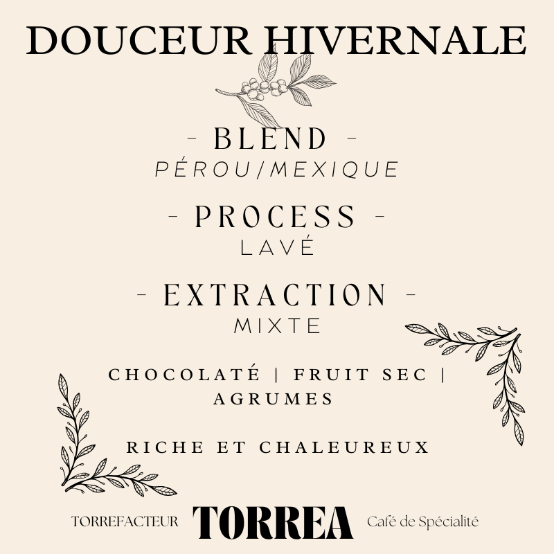 Blend Douceur Hivernale - Café gourmet 60% Mexique El Triunfo 40% Pérou El Palomar aux notes de chocolat et d'agrumes pour l'hiver