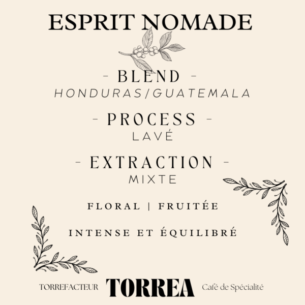 Blend Esprit Nomade - Café premium 70% Mexique El Triunfo 30% Colombie Cauca aux notes chocolatées et crémeuses pour soirées détente