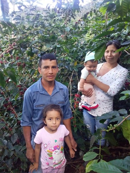 Café Palanda – Équateur, café de spécialité issu de l’agroforesterie dans le parc naturel de Podocarpus
