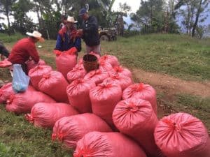 Café Capucas – Grand cru bio et équitable du Honduras, variétés Bourbon rouge et Catuaï