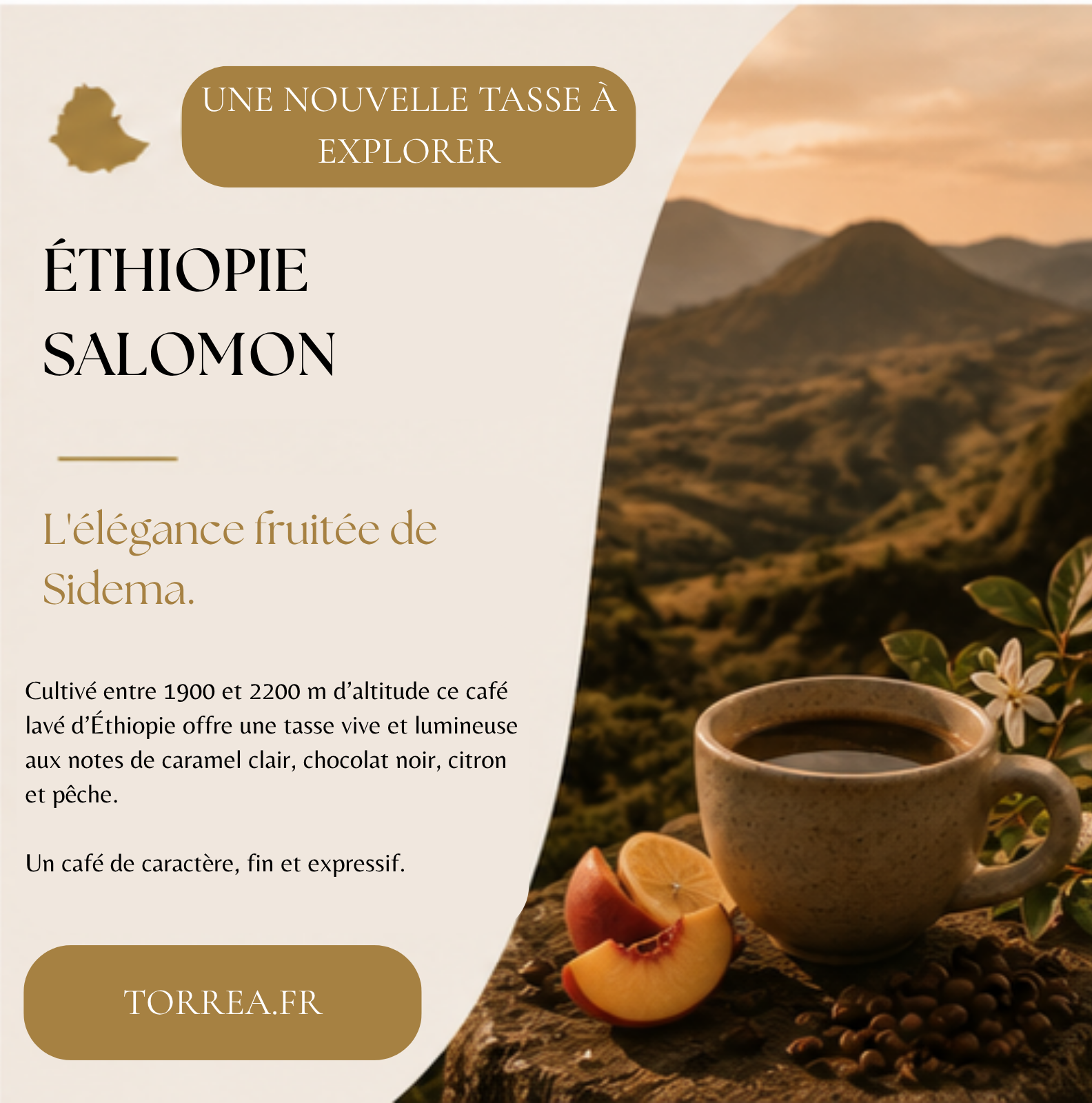 Café